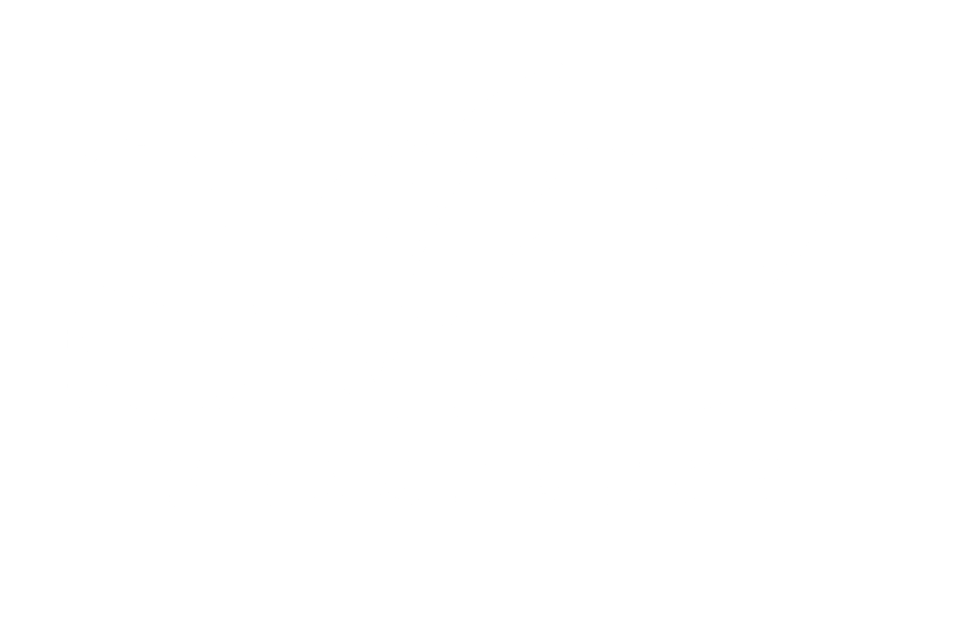 Soy Fragrance